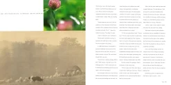 The French Laundry Cookbook - Thomas Keller