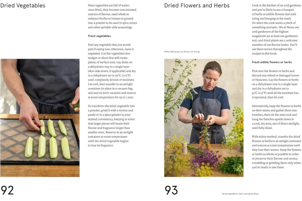 The Noma Guide to Building Flavour - Rene Redzepi