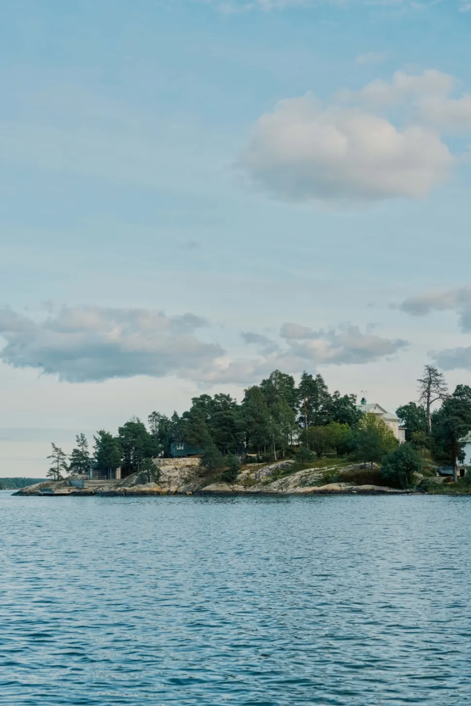 The Swedish Cookbook - Niklas Ekstedt