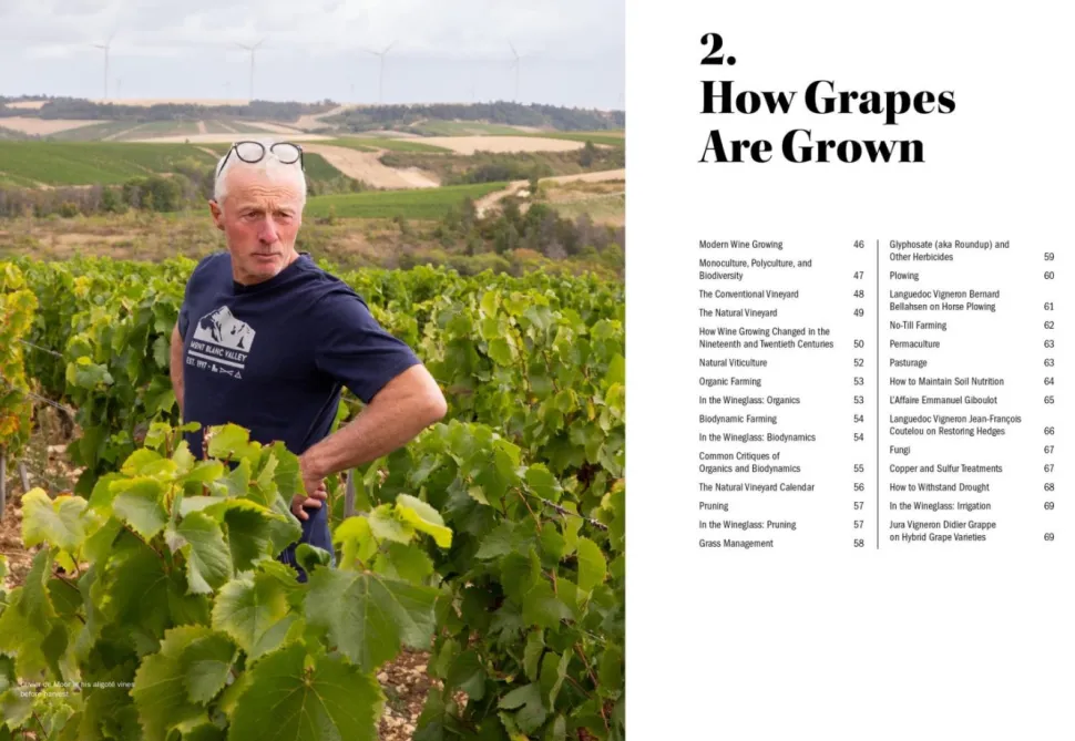The World of Natural Wine - Aaron Ayscough