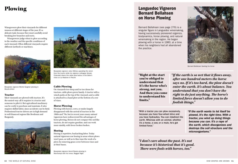 The World of Natural Wine - Aaron Ayscough
