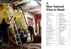 The World of Natural Wine - Aaron Ayscough