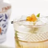 Zenzero, Cocktail-ingefära, 600g - Fabbri